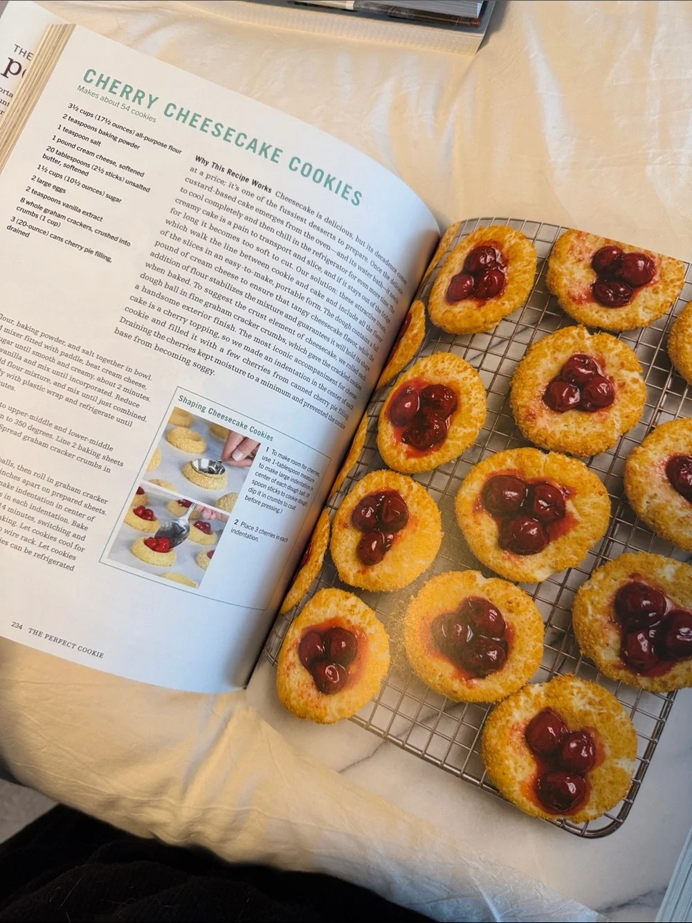 The Perfect Cookie America’s Test Kitchen
